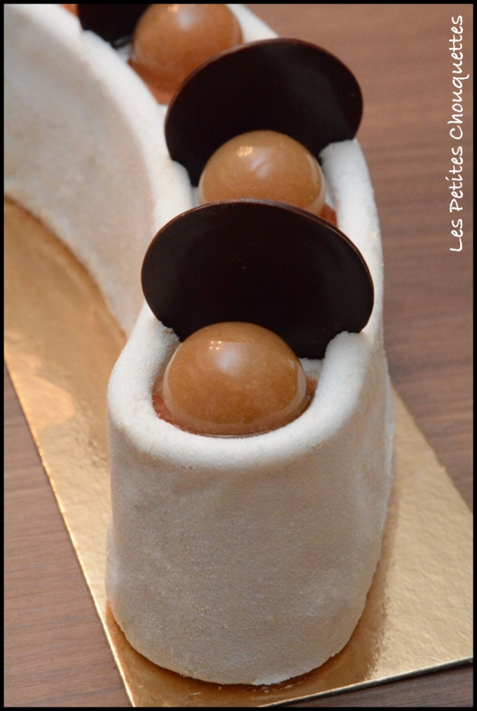 Recette Bûche chocolat fruit de la passion avec moule Meringa Silikomart