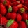 Tarte aux fraises d'après Cédric Grolet